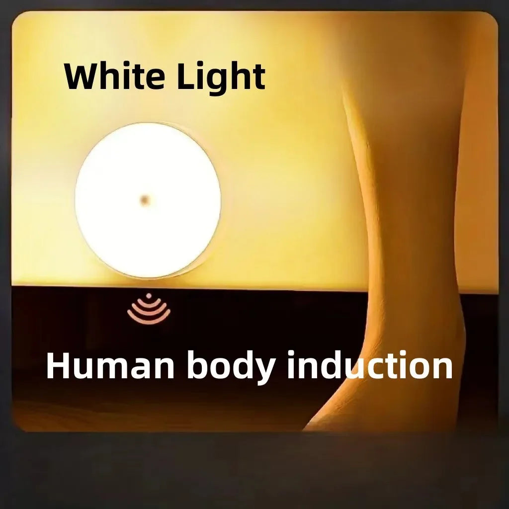 Motion Sensor Night Lights in Warm White/Cold White