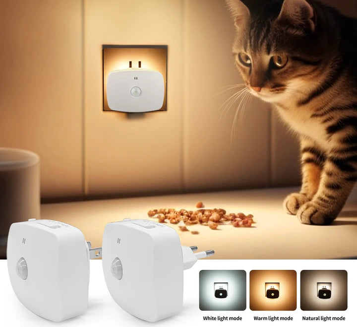 Motion Sensor Led Night Light